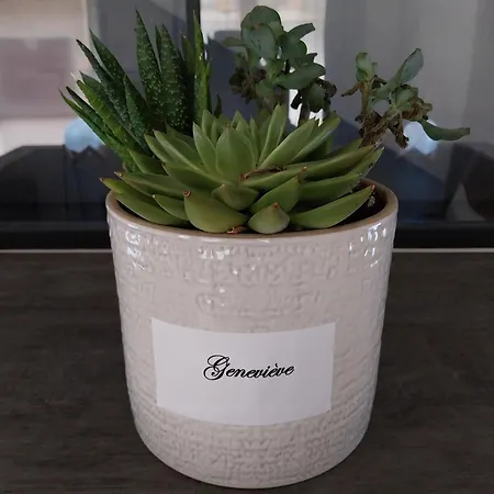 Primo - 4personnes * Braux (Ardennes)